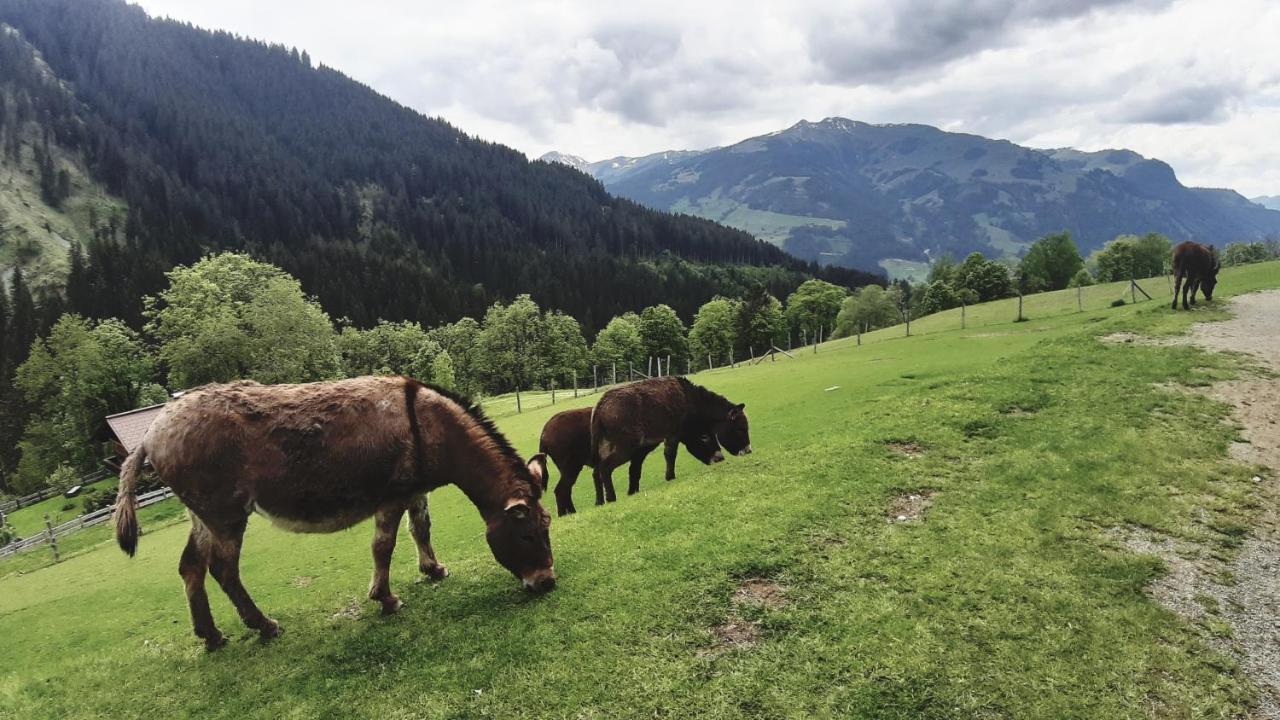 Privatzimmervermietung Foidlbauer Bed & Breakfast Oberndorf in Tirol Bagian luar foto