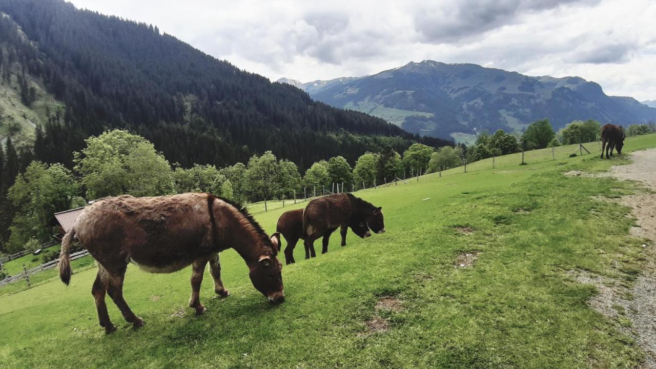 Privatzimmervermietung Foidlbauer Oberndorf in Tirol Bagian luar foto